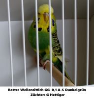 21. Zuechtertreffen002.jpg